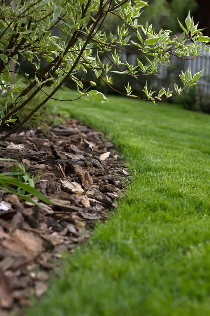 Strona Główna - Ogrodowe Sprawy Krawędzie trawnika